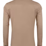 Men Regular Fit Solid Button Down Collar Formal Shirt